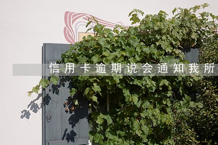 信用卡逾期说会通知我所在公司