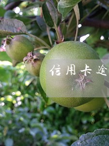 信用卡逾期说传票寄出 信用卡逾期说传票寄出