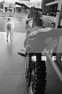 信用卡逾期说公安会上门