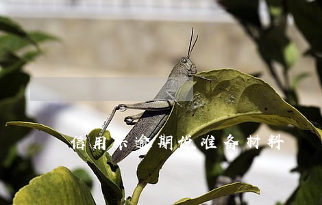 信用卡逾期说准备材料