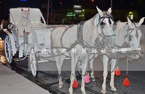 信用卡逾期说到法务部 信用卡逾期说到法务部