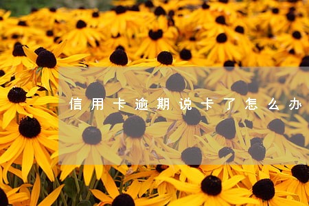 信用卡逾期说卡了怎么办