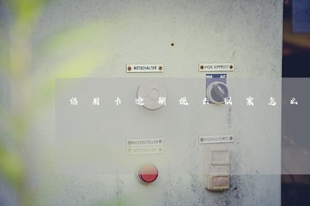 信用卡逾期说去报案怎么解决