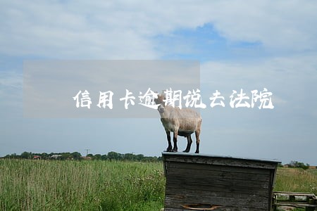 信用卡逾期说去法院 信用卡逾期说去法院