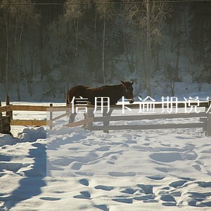 信用卡逾期说发律师函两年 信用卡逾期说发律师函两年