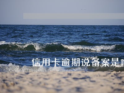 信用卡逾期说备案是啥意思 信用卡逾期说备案是啥意思