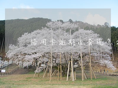 信用卡逾期说套现怎么办 信用卡逾期说套现怎么办