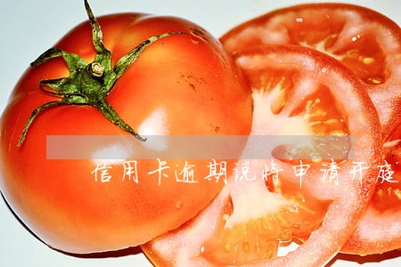 信用卡逾期说将申请开庭 信用卡逾期说将申请开庭