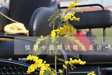 信用卡逾期说带人走访 信用卡逾期说带人走访