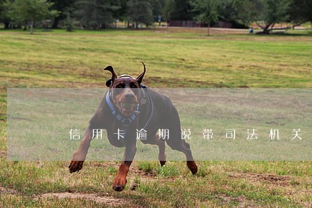信用卡逾期说带司法机关过来 信用卡逾期说带司法机关过来