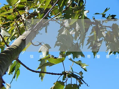信用卡逾期说带警察上门