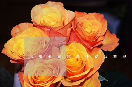 信用卡逾期说怀疑我套现 信用卡逾期说怀疑我套现