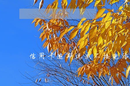信用卡逾期说我不接电话