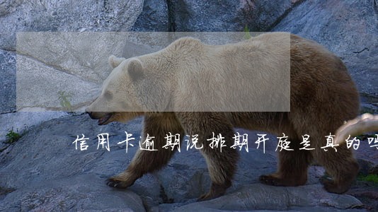 信用卡逾期说排期开庭是真的吗 信用卡逾期说排期开庭是真的吗