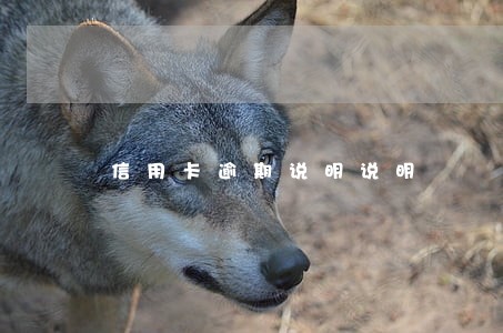 信用卡逾期说明说明 信用卡逾期说明说明