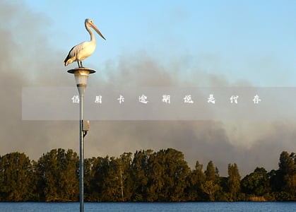 信用卡逾期说是代存 信用卡逾期说是代存