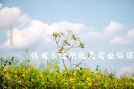 信用卡逾期说是定位抓捕让我等着 信用卡逾期说是定位抓捕让我等着