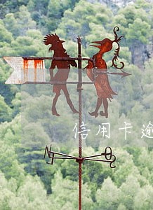 信用卡逾期说是已经立案 信用卡逾期说是已经立案