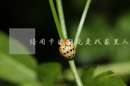 信用卡逾期说是找家里人 信用卡逾期说是找家里人