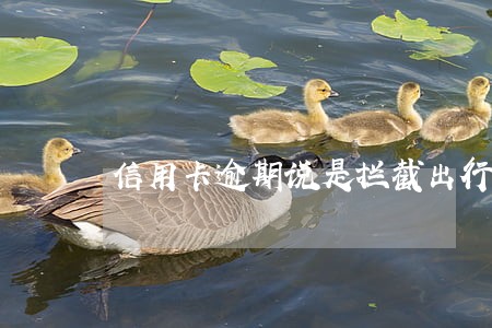 信用卡逾期说是拦截出行飞机 信用卡逾期说是拦截出行飞机
