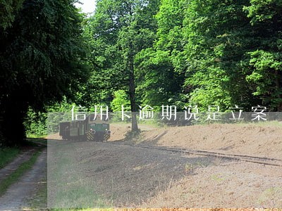 信用卡逾期说是立案 信用卡逾期说是立案