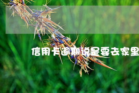 信用卡逾期说是要去家里 信用卡逾期说是要去家里