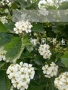 信用卡逾期说是让去公安局 信用卡逾期说是让去公安局