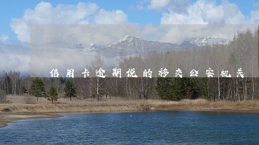 信用卡逾期说的移交公安机关 信用卡逾期说的移交公安机关