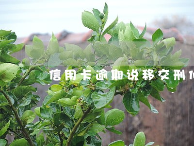 信用卡逾期说移交刑侦 信用卡逾期说移交刑侦