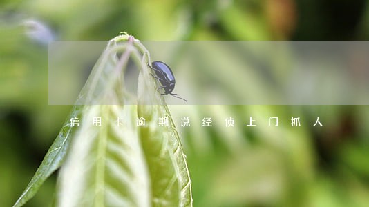 信用卡逾期说经侦上门抓人 信用卡逾期说经侦上门抓人