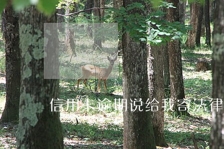 信用卡逾期说给我寄法律函件 信用卡逾期说给我寄法律函件