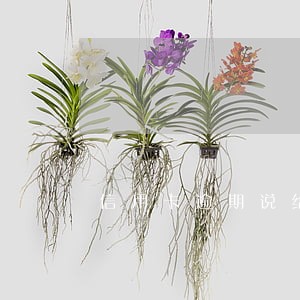 信用卡逾期说给我挂网逃 信用卡逾期说给我挂网逃