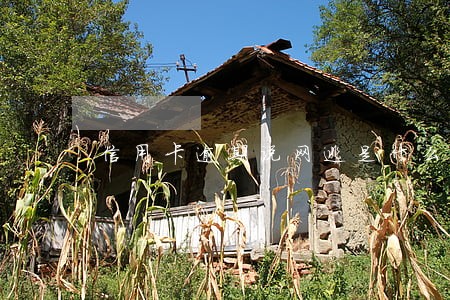 信用卡逾期说网逃是什么意思 信用卡逾期说网逃是什么意思
