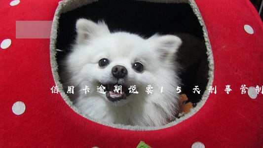 信用卡逾期说要15天刑事管制 信用卡逾期说要15天刑事管制