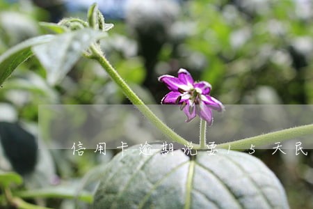 信用卡逾期说要15天民事管制 信用卡逾期说要15天民事管制