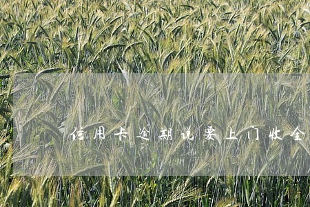 信用卡逾期说要上门收全款 信用卡逾期说要上门收全款