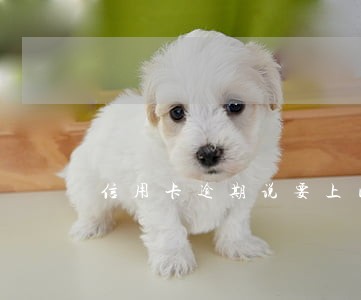 信用卡逾期说要上门核实 信用卡逾期说要上门核实