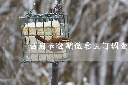 信用卡逾期说要上门调查怎么办
