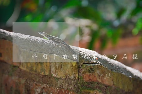 信用卡逾期说要公安局报案 信用卡逾期说要公安局报案