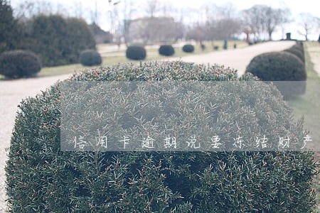 信用卡逾期说要冻结财产 信用卡逾期说要冻结财产