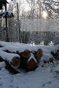 信用卡逾期说要出庭 信用卡逾期说要出庭