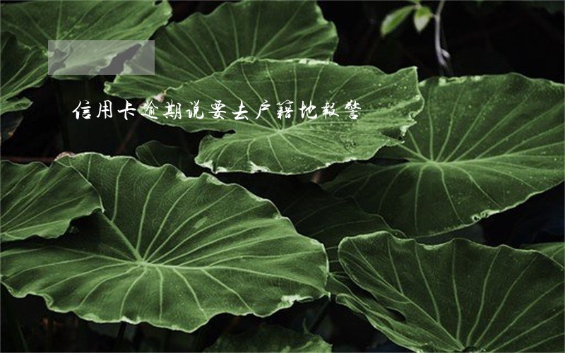 信用卡逾期说要去户籍地报警 信用卡逾期说要去户籍地报警