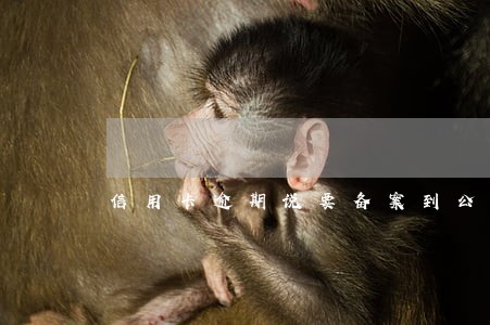 信用卡逾期说要备案到公安局