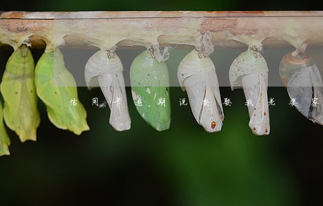 信用卡逾期说要娶我老婆家 信用卡逾期说要娶我老婆家