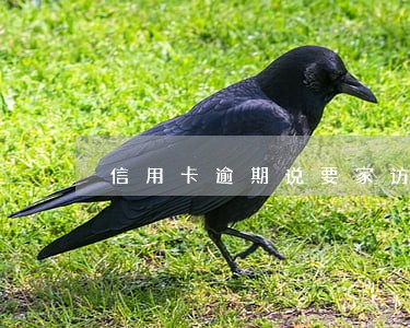 信用卡逾期说要家访起诉 信用卡逾期说要家访起诉