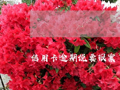 信用卡逾期说要报案了 信用卡逾期说要报案了