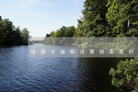 信用卡逾期说要拍卖我的财产 信用卡逾期说要拍卖我的财产