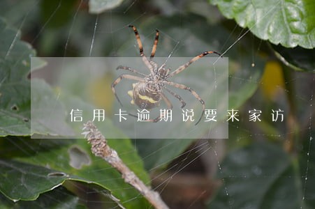 信用卡逾期说要来家访 信用卡逾期说要来家访