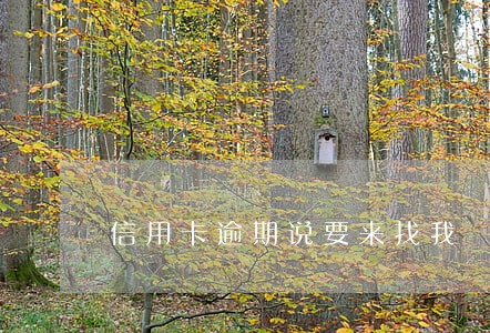 信用卡逾期说要来找我 信用卡逾期说要来找我