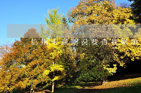 信用卡逾期说要查我账单 信用卡逾期说要查我账单